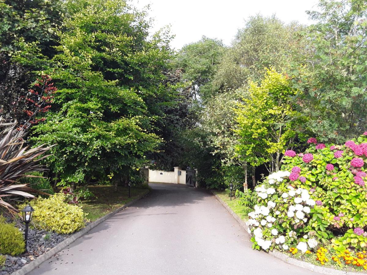Ard Na Greine Bed & Breakfast Ballylickey Exterior foto